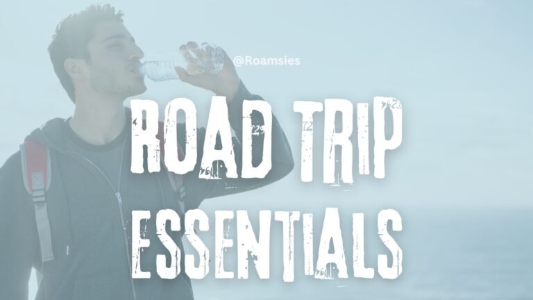 Road Trip Essentials Guide for the Best Travel Experience(1)